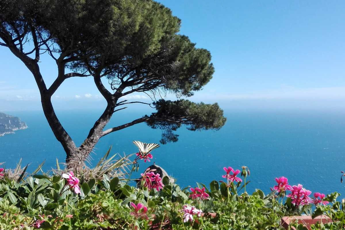 Orto botanico digitale con sensori IoT e piante monitorate in tempo reale, fusione tra tecnologia smart e natura sostenibile