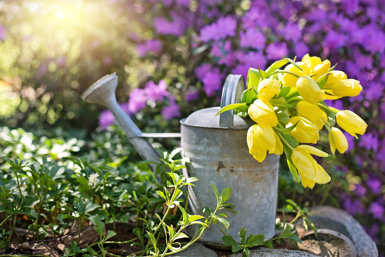 Mani di una persona che semina un fiore in terra fertile in un giardino soleggiato, simbolo di cura e benessere personale