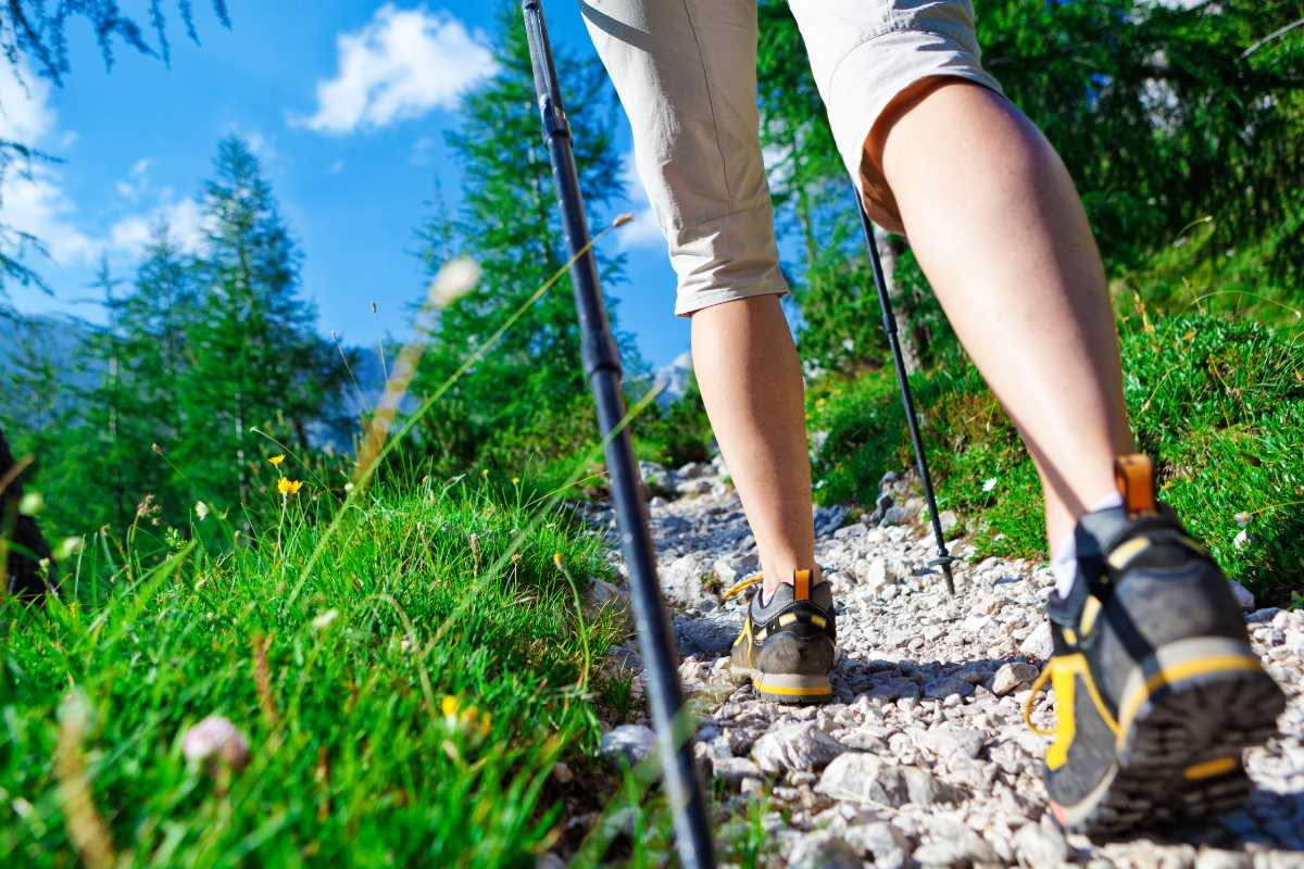 Gruppo di persone che pratica Nordic Walking all'aperto con bastoncini, in un paesaggio naturale italiano tra verde e movimento