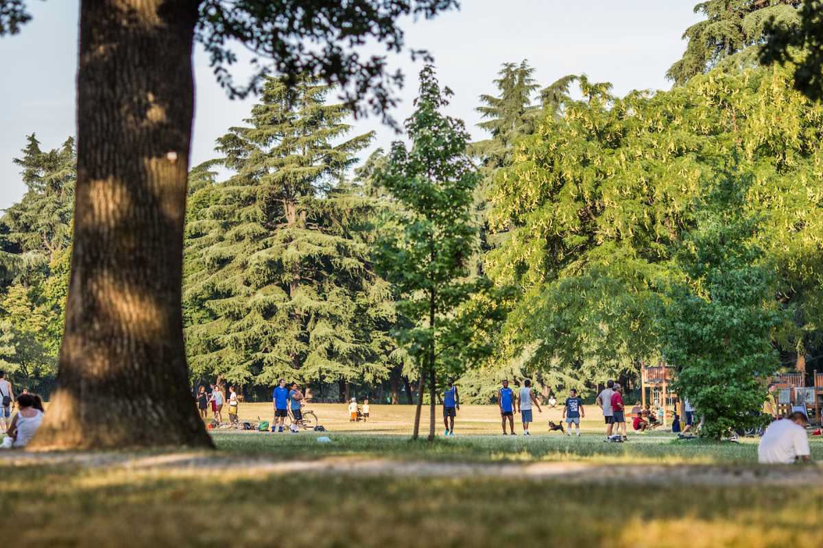 Persona che cammina in un parco verdeggiante durante una domenica soleggiata, circondata da alberi e prato, in un'atmosfera serena e rilassante