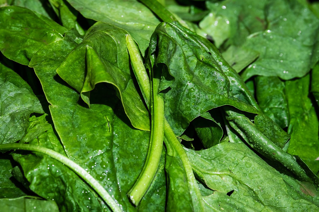 Gli spinaci non bastano per il ferro: ecco come assorbirlo davvero