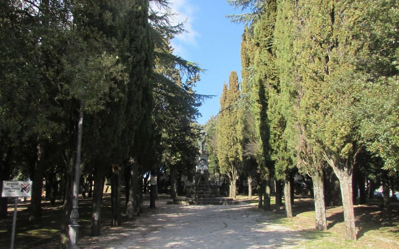 Alberi del Parco della Rimembranza di Roma, foresta vivente dedicata alla memoria dei caduti della Prima Guerra Mondiale, con tronchi monumentali immersi nella natura