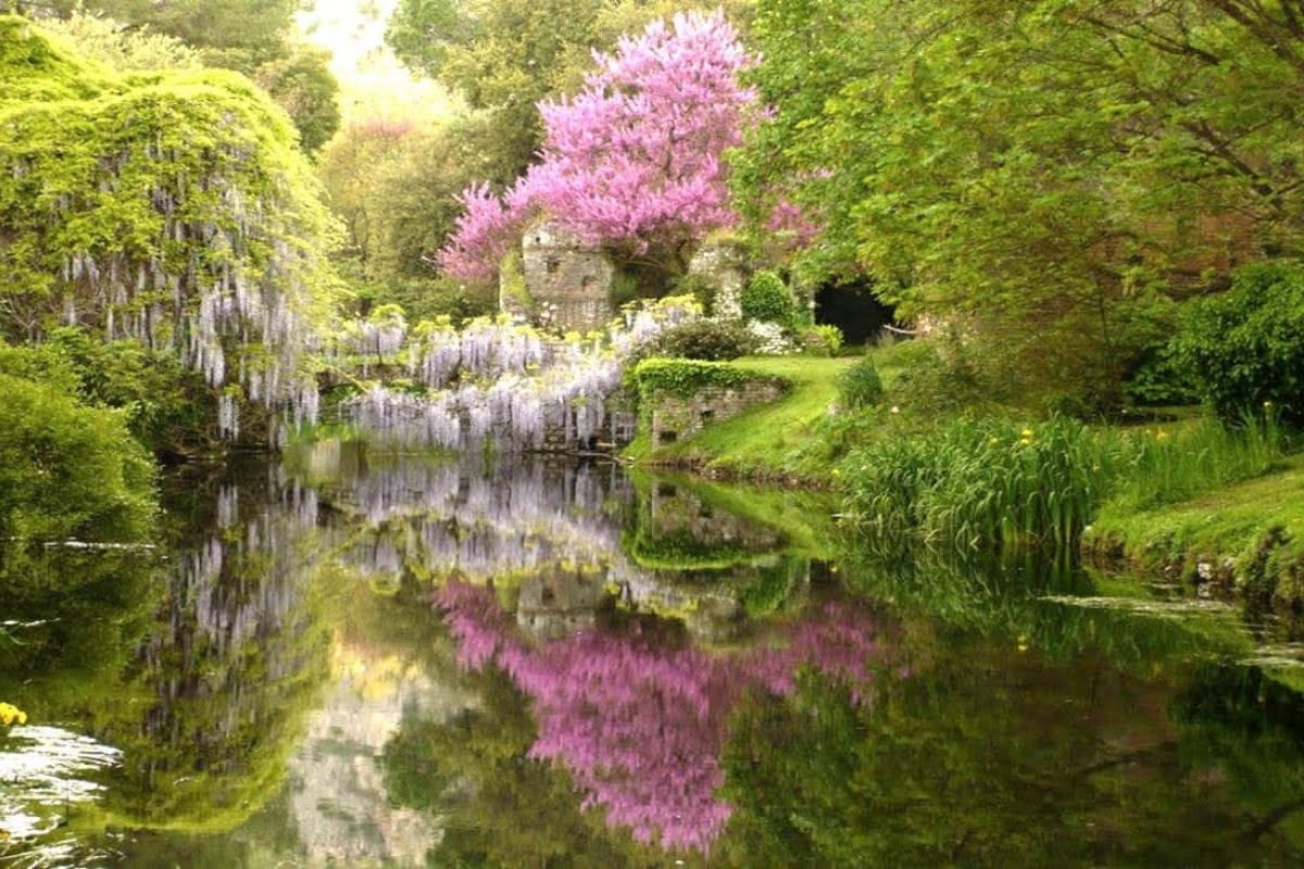 Viale del giardino di Boboli con filare di lecci antichi, fusti robusti e chiome dense di foglie lucide, ombre lunghe sul terreno terroso in una giornata soleggiata
