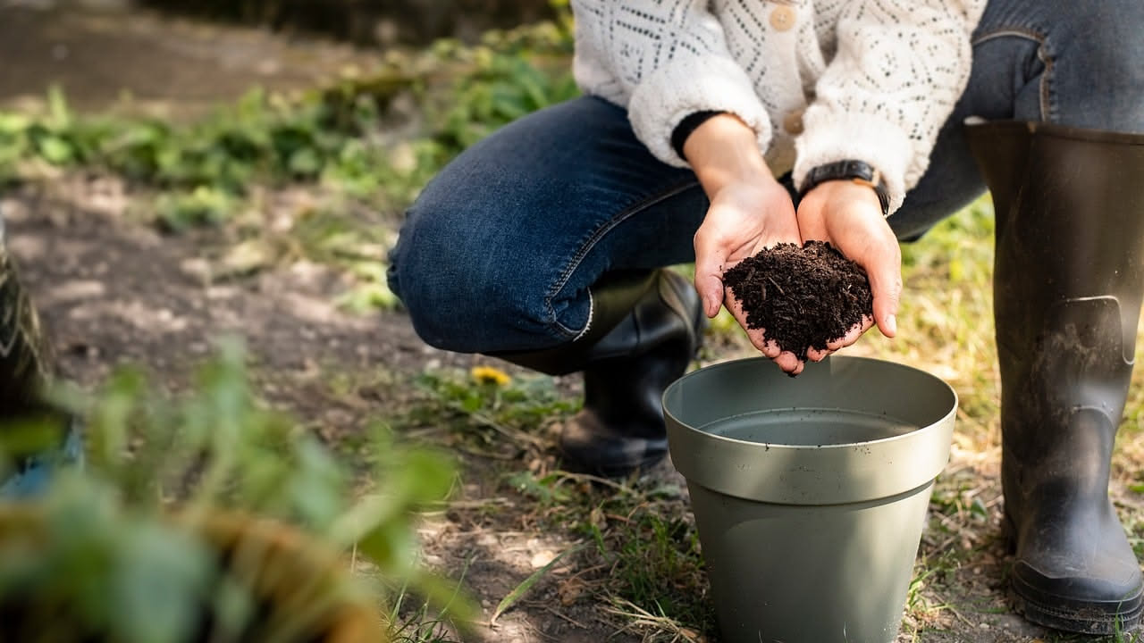 Come scegliere il vaso e il terriccio