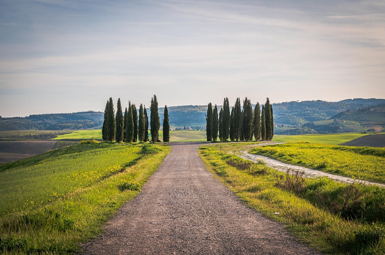Resti dell'abbazia cistercense di San Galgano con volta gotica crollata, circondata da cipressi italiani scuri che si ergono verticali tra le colline toscane color ocra al tramonto