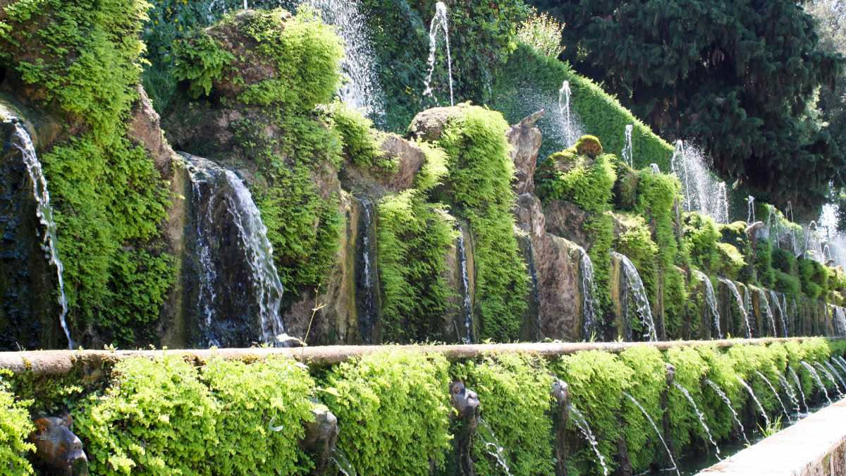 Veduta aerea del labirinto di bosso verde scuro nella Villa Reale di Marlia, con i viali che formano un intrigo geometrico, circondata da alberi più alti e siepi ordinate