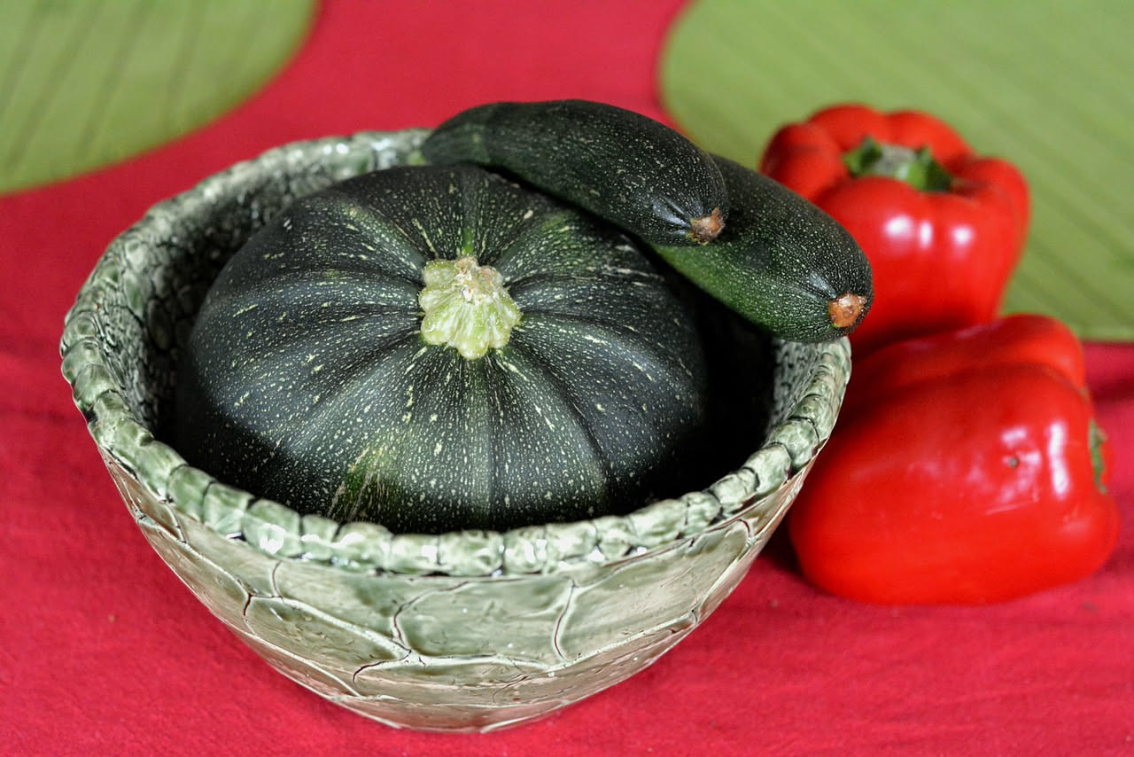 Tre zucchini tondi di Nizza color verde chiaro poggiati su foglie larghe della pianta, con vaso di terracotta sullo sfondo e sole pomeridiano
