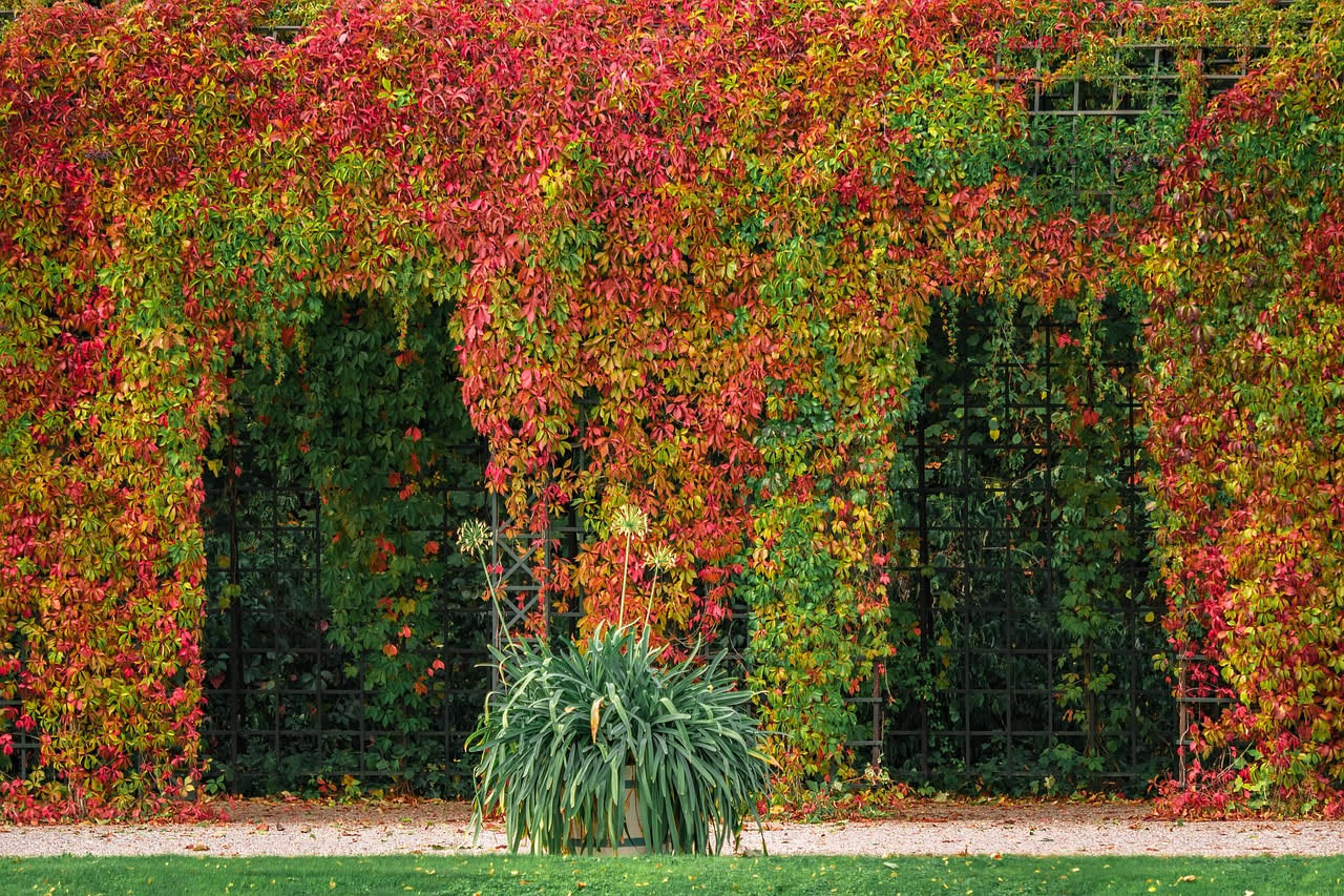Viale alberato con querce e tigli centenari nel parco di Villa Reale di Monza, erba verde ondulata, cielo terso di fine estate, edificio principale in lontananza tra gli alberi