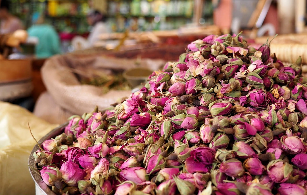 Rose damascene di Mosul: come arrivarono ai vivai del Garda