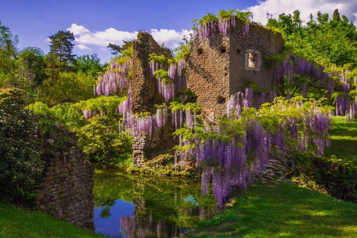 Il glicine nelle ville italiane: secoli di giardini lenti