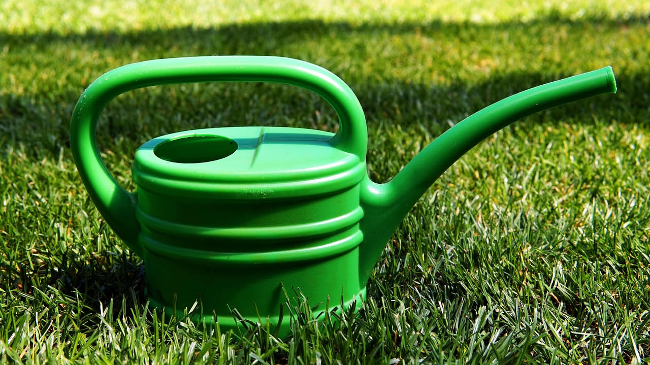 Il giardino a matrice: addio prato inglese, ciao annaffiature