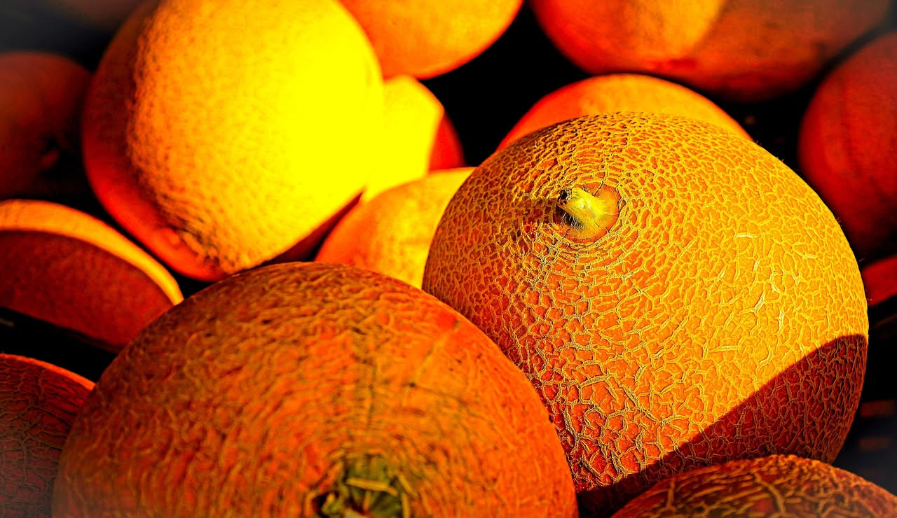 Da dove arriva il melone estivo: la storia di questo frutto