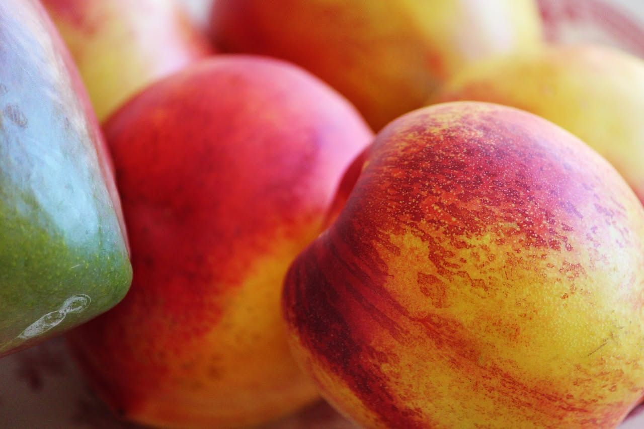 Nettarine rosse e arancioni appena colte da un ramo, con foglie verdi, accanto a pesche dalla pelle rugosa per confrontare le due varietà