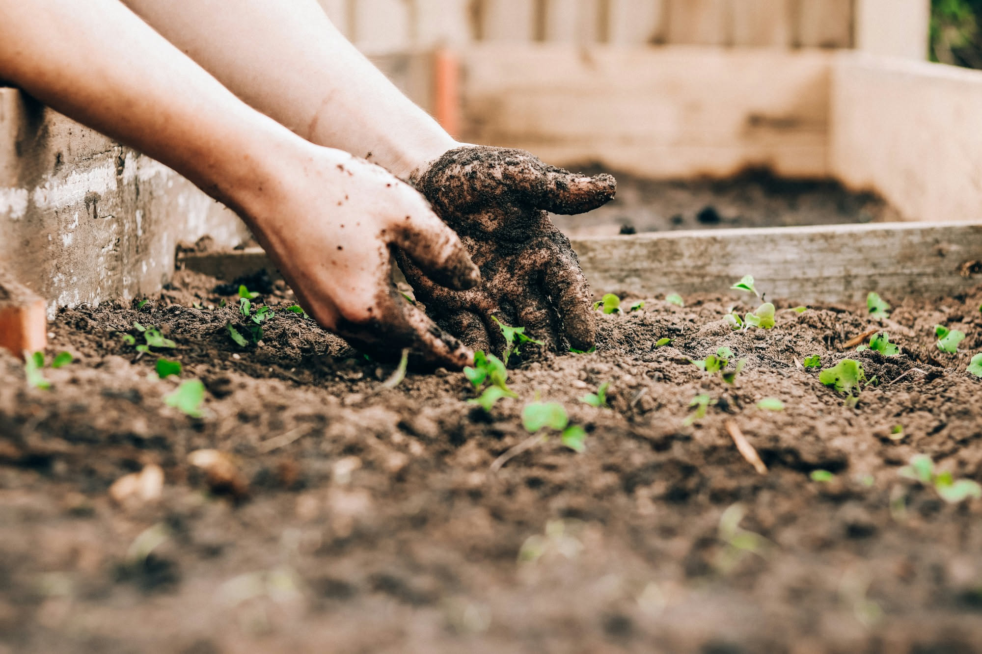 Contenitore di compost marrone con coperchio in legno su balcone, circondato da scarti vegetali, foglie e terriccio scuro, con piante in vaso sullo sfondo