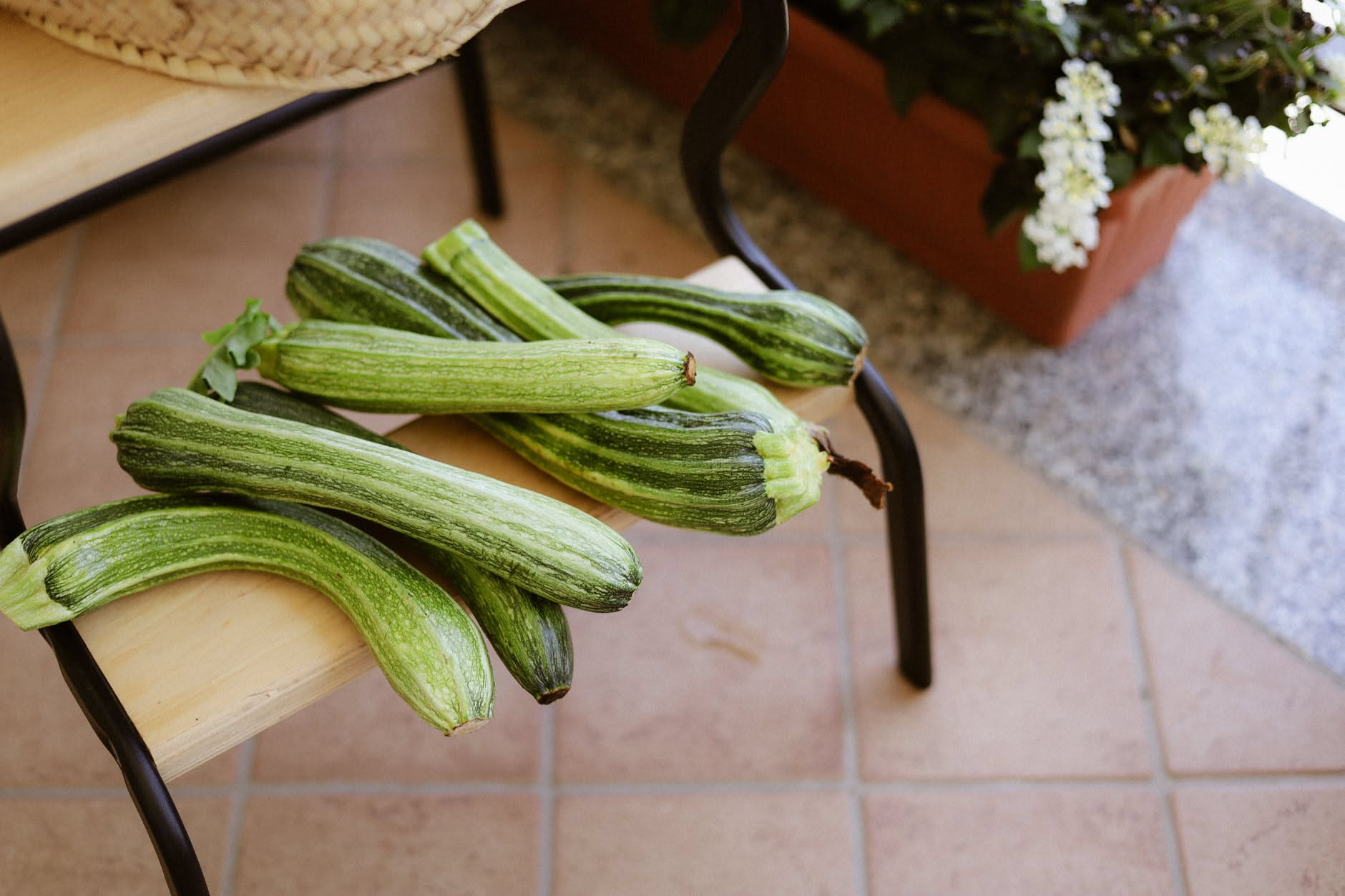 Mani che preparano aiuola di terriccio scuro a settembre con bulbi di tulipano, busta di semi di cavolo e annaffiatoio in sottofondo