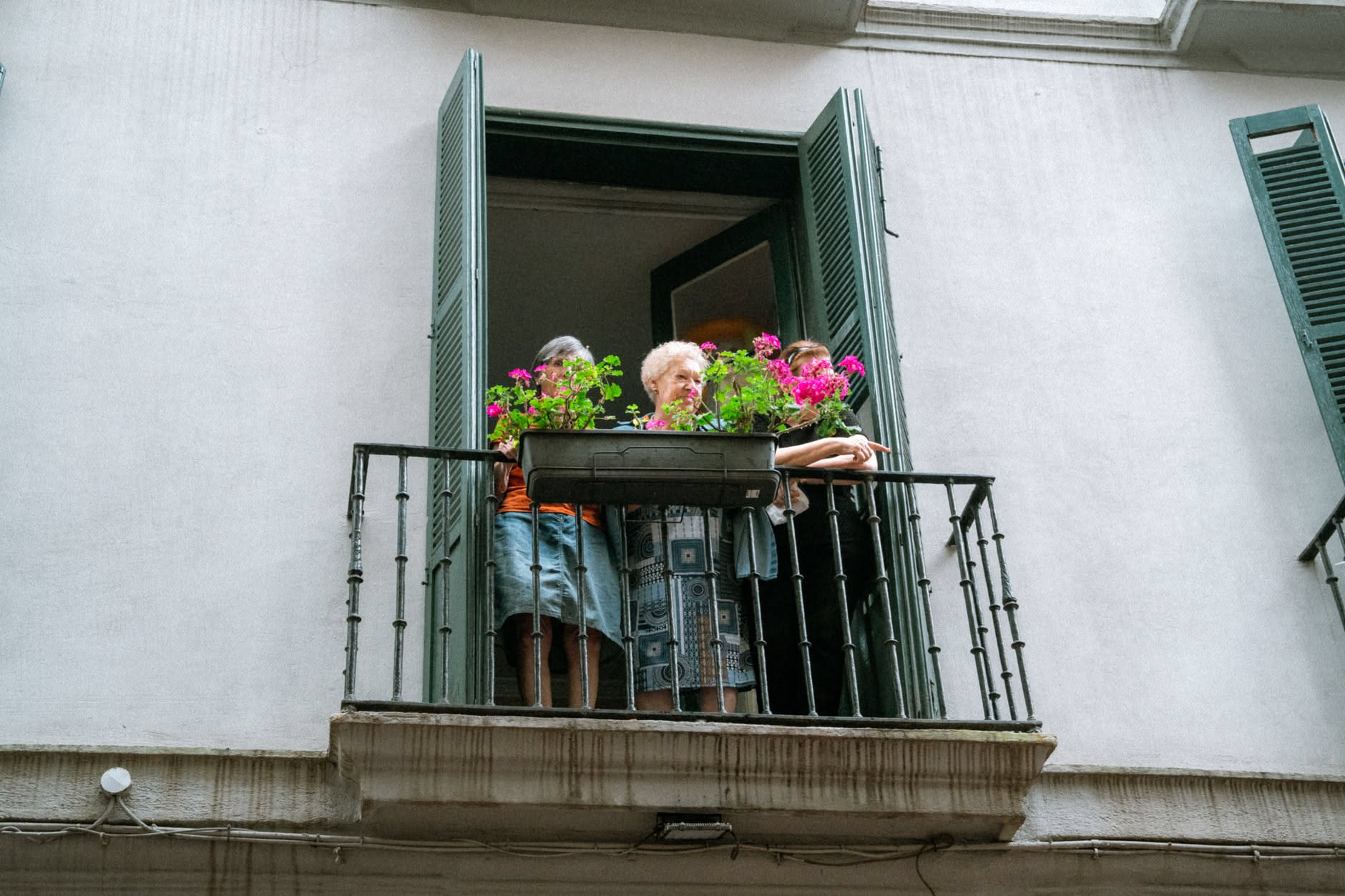 Vasi di piante allineati in uno stretto balcone racchiuso fra due pareti chiare, con luce diurna intensa
