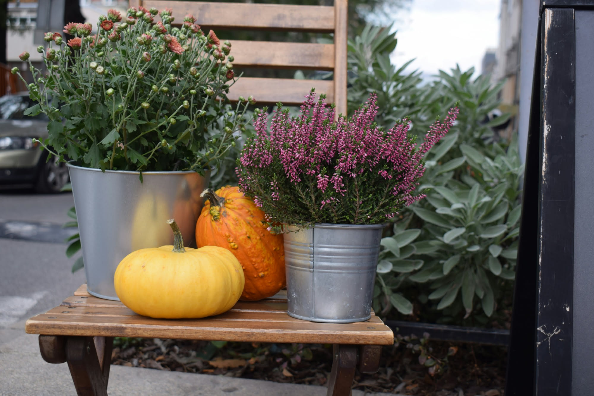 Balcone autunnale con viole del pensiero viola, ciclamino rosa, erica e calicanto in vasi di terracotta davanti a una ringhiera, con foglie cadenti sullo sfondo