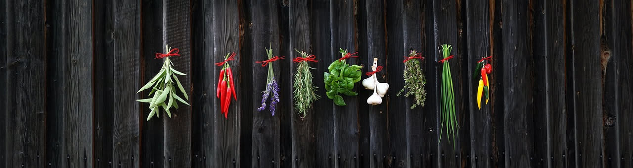 Quali sono le 9 piante aromatiche più insolite da coltivare in vaso (oltre il solito basilico e rosmarino)