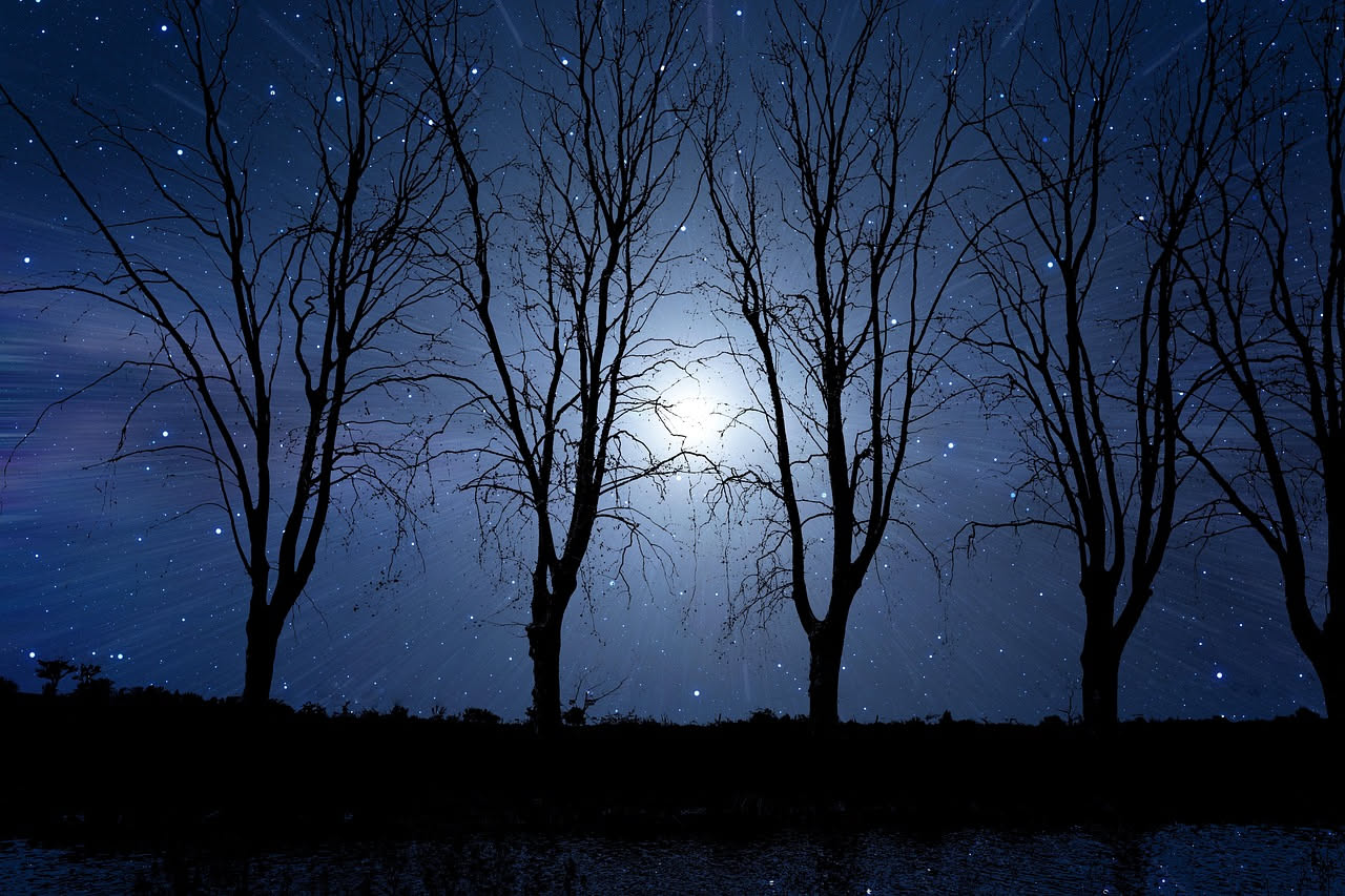 Cosa fare alle tue piante con la luna piena del 29 luglio? Le 5 cose che la tradizione consiglia