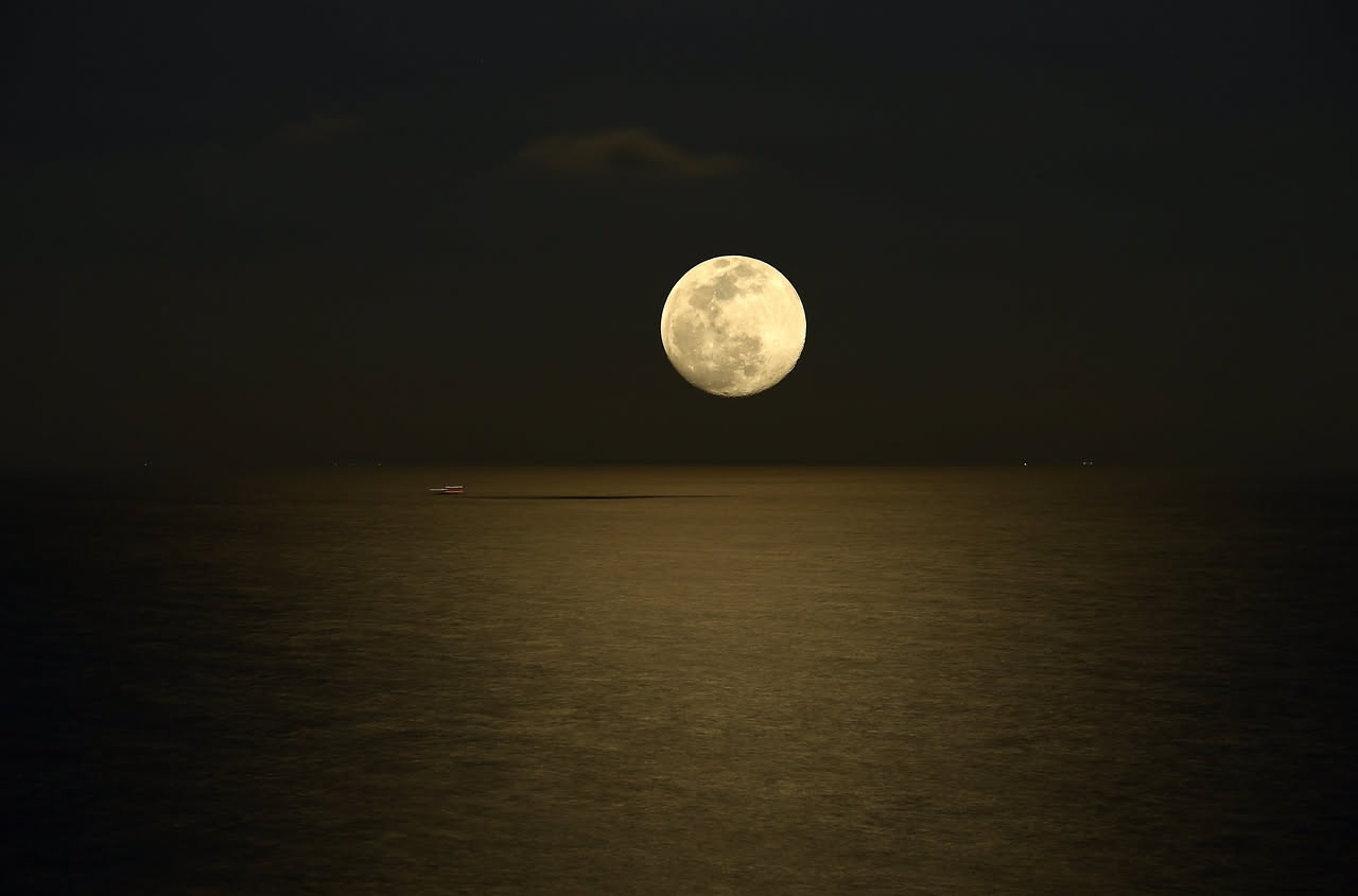 Grande luna piena che sorge su un orto estivo al crepuscolo, con file di pomodori, vasi di gerani e piante aromatiche in primo piano