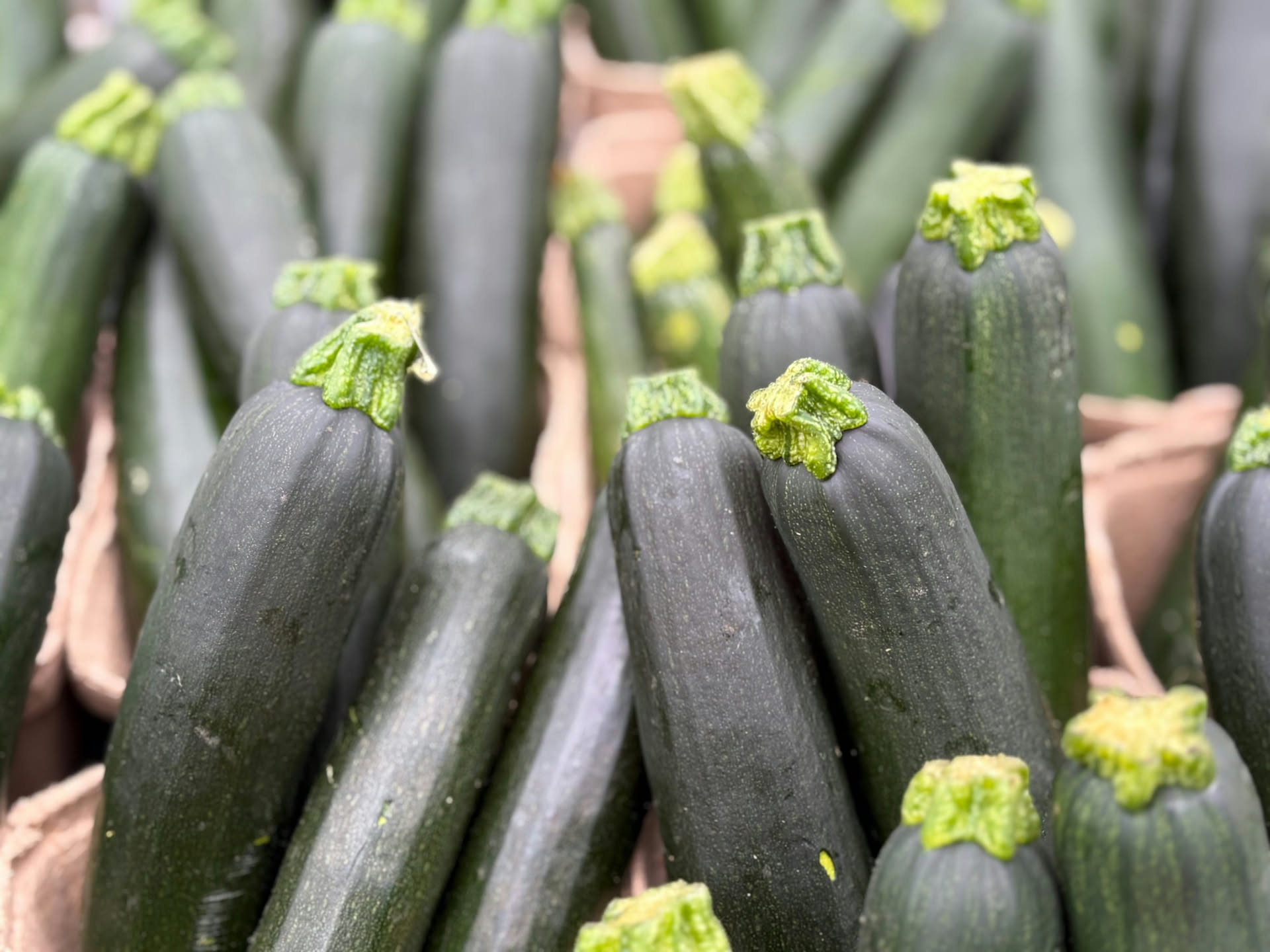Cassetta di zucchine verdi al banco di un mercato ortofrutticolo