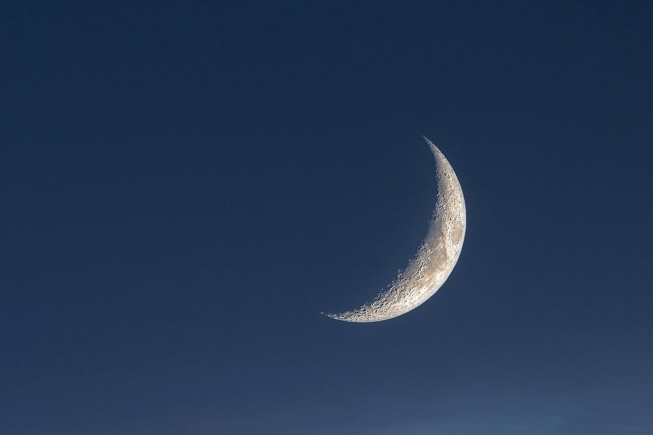 Orto di inizio agosto al tramonto con file di ortaggi, cesti di aglio e cipolle raccolti e una falce di luna calante nel cielo