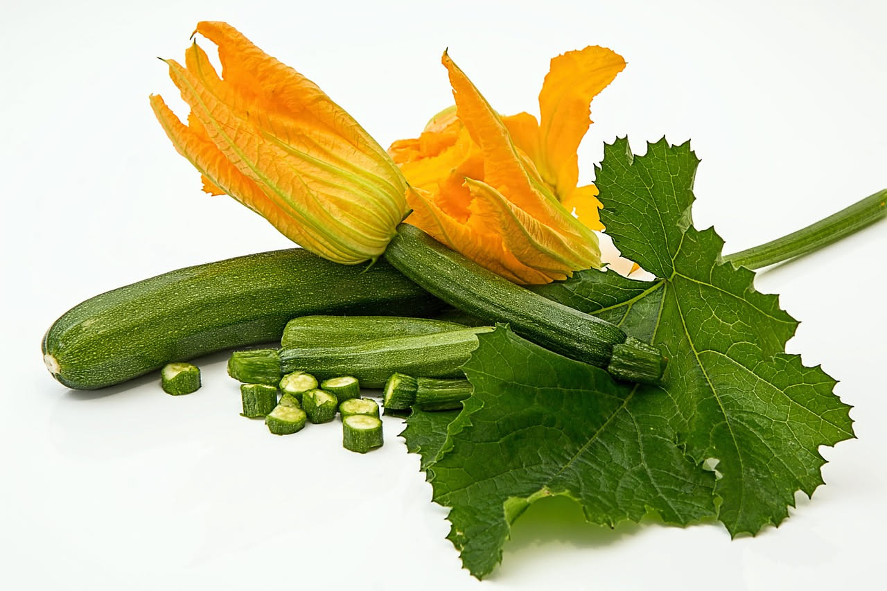 Mani che raccolgono un fiore di zucchina maschile giallo brillante con lungo stelo al mattino presto in un orto estivo, con zucchine sullo sfondo