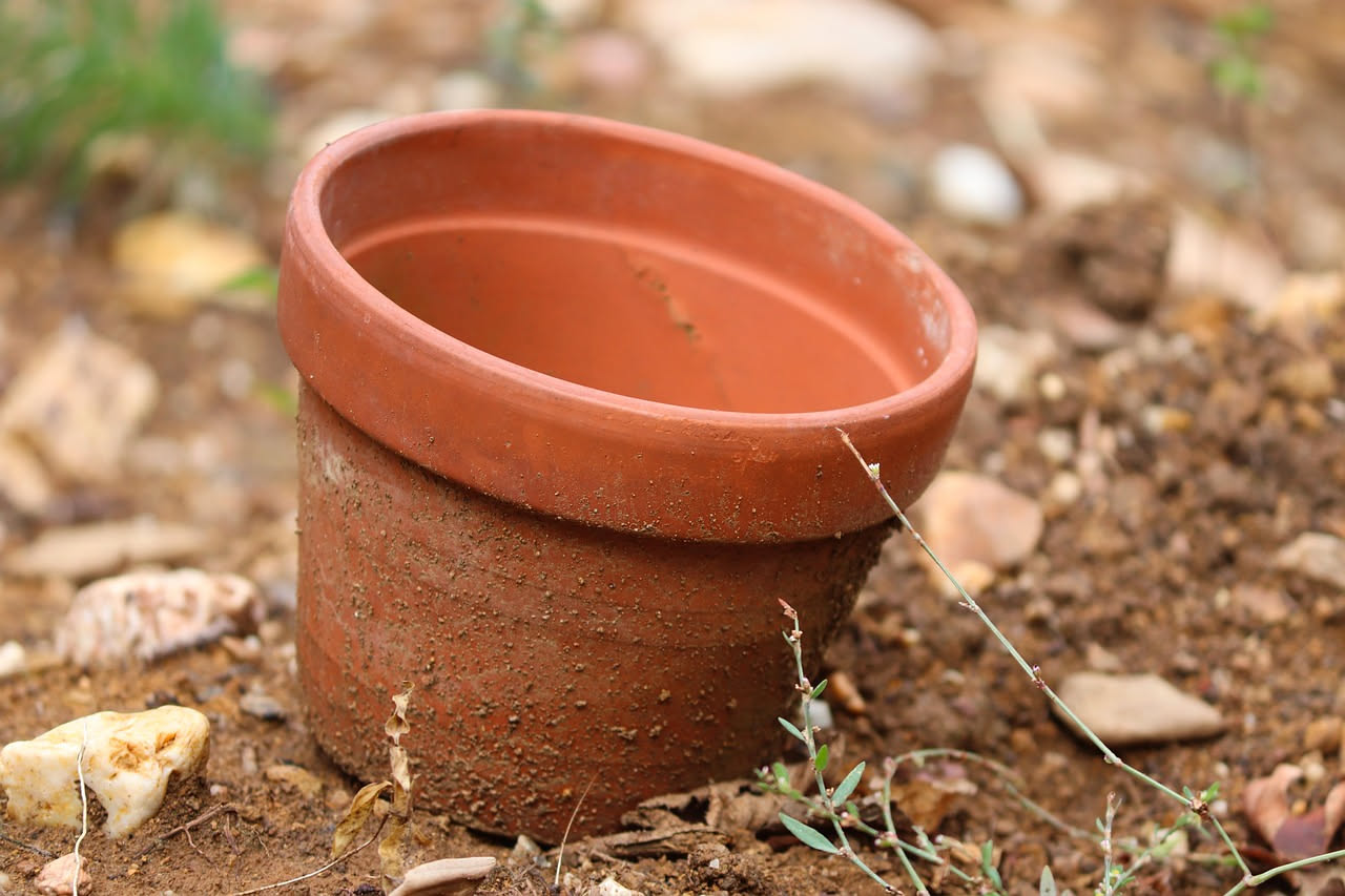 Vaso con terriccio secco e ritirato dai bordi mentre l'acqua versata scivola via dai lati senza penetrare, sotto il sole cocente d'estate