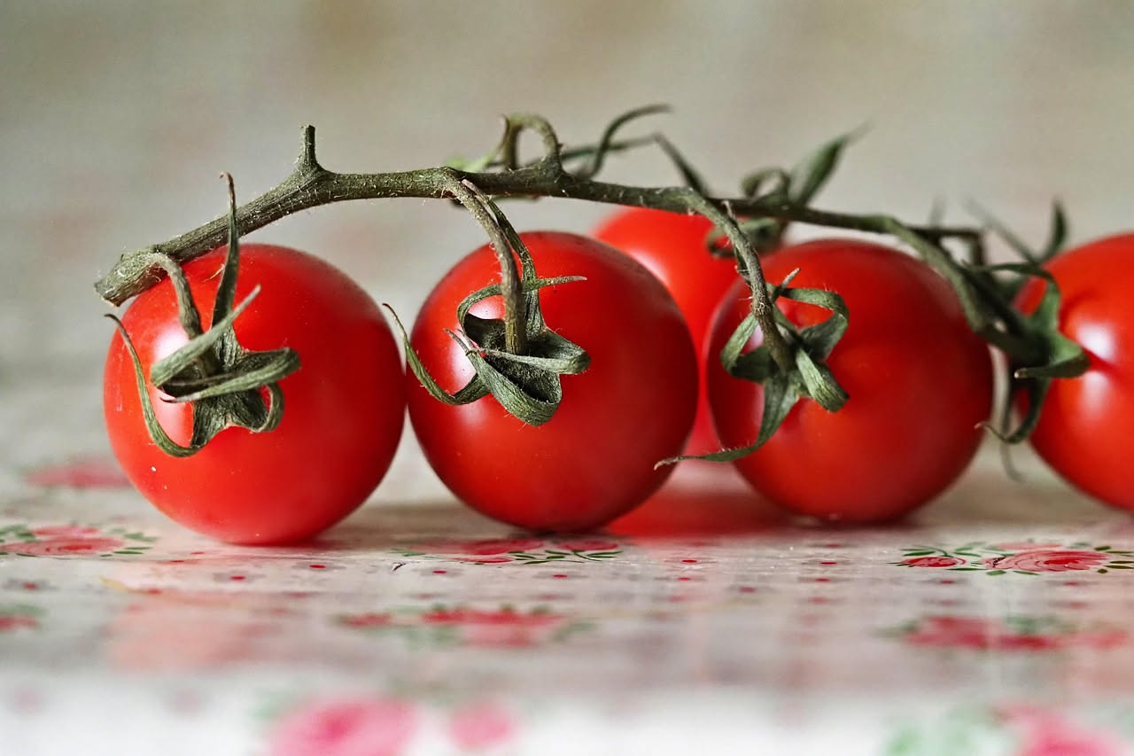 Pomodori rossi maturi con il picciolo disposti in un unico strato in un cestino di legno su un piano di cucina, il modo giusto per conservare i pomodori in estate