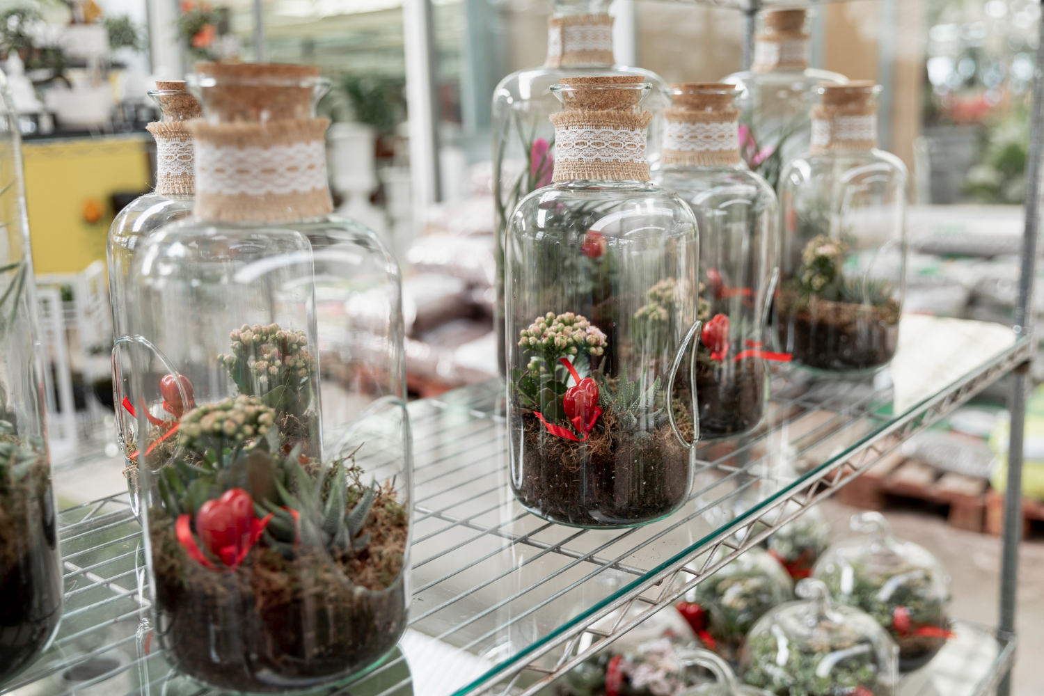 Terrarium chiuso in un grande vaso di vetro con felci, muschio e fittonia, con goccioline di condensa sulle pareti interne, su un tavolo luminoso