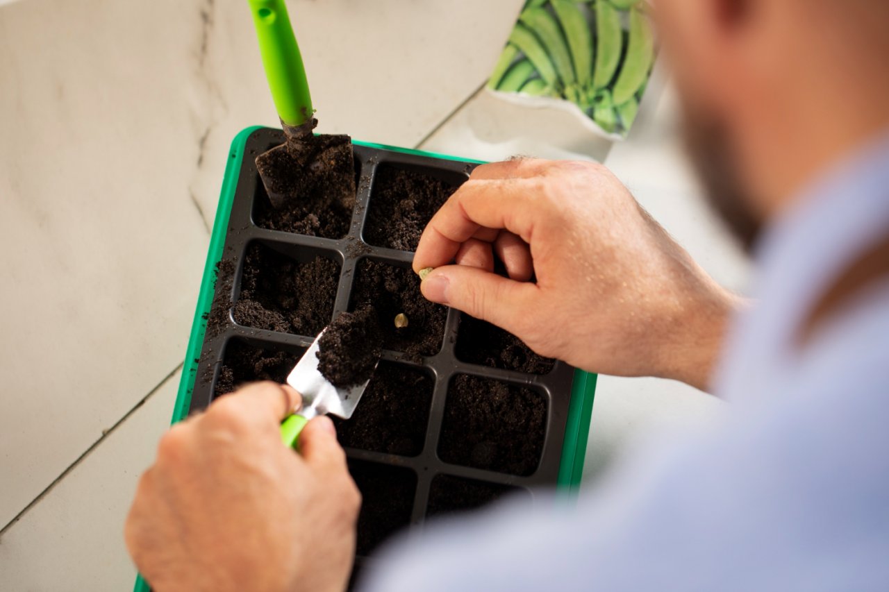 Mani che tengono sementi di carota e ravanello sopra la terra appena preparato